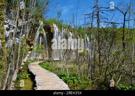 Hölzerner Fußweg, der zum Wasserfall Mali Prštavac an den Plitivicer Seen in der Grafschaft Lika-Senj, Kroatien führt Stockfoto