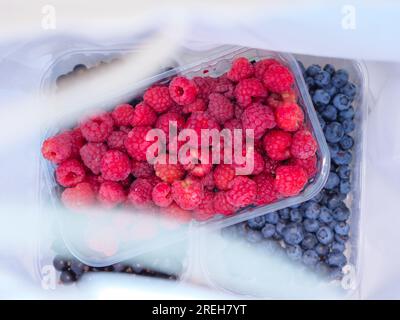 Drei Kunststoffbehälter mit Himbeeren, Heidelbeeren und schwarzer Johannisbeere in einer weißen Papiertüte. Saisonales Speiseeinkauf und gesundes Esskonzept. Stockfoto