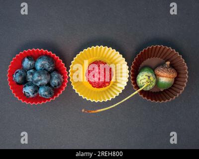 Herbsternte von Heidelbeeren, Himbeeren und einer Eichel in kleinen Silikon-Backbechern auf schwarzem Hintergrund. Stockfoto