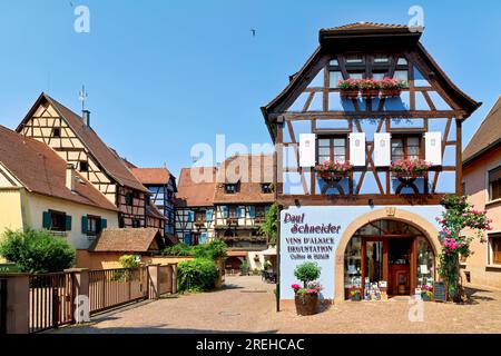 Eguisheim Elsass Frankreich. Elsässer Weinstraße. Die Holzrahmenhäuser in der Altstadt Stockfoto