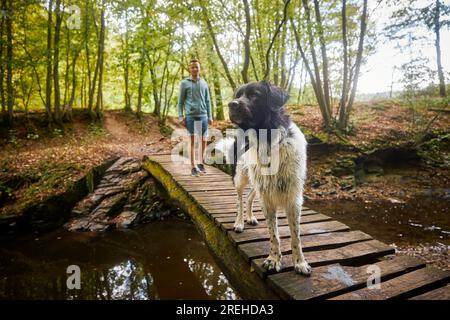 Glücklicher Mann mit Hund auf hölzerner Fußgängerbrücke über dem Fluss. Porträt des tschechischen Mountain Dog mit seinem Tierbesitzer während eines Spaziergangs in der Natur. Stockfoto