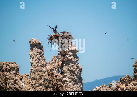 Die South Tufas und Navy Beach Felsformationen am Mono Lake sind ziemlich ungewöhnlich und ein großartiger Zwischenstopp in der östlichen Sierra von Kalifornien. Stockfoto