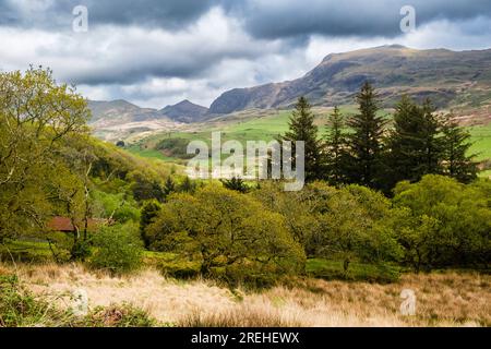 Im Naturschutzgebiet Gilfach im Snowdonia-Nationalpark könnt ihr das Cwm Pennant Valley von einem bewaldeten Hügel aus bestaunen. Llanfihangel-y-pennant Porthmadog Gwynedd Wales Stockfoto