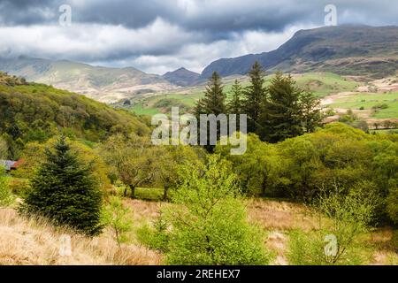 Im Naturschutzgebiet Gilfach im Snowdonia-Nationalpark könnt ihr das Cwm Pennant Valley von einem bewaldeten Hügel aus bestaunen. Llanfihangel-y-pennant Porthmadog Gwynedd Wales Stockfoto