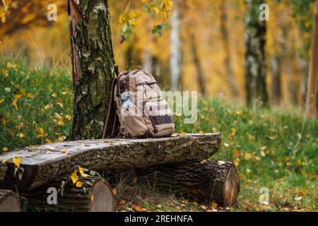 Rucksack auf Holzbank im Herbstwald mit Birken. Wanderausrüstung Stockfoto