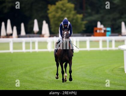 Alhambra Palace fuhr von Jockey David Probert, nachdem er während des QIPCO King George Wochenendes auf der Rennbahn Ascot, Berkshire, das Slingsby Gin Handicap gewann. Bilddatum: Freitag, 28. Juli 2023. Stockfoto