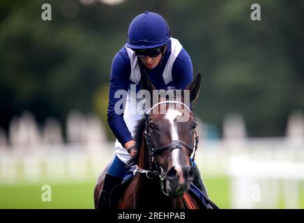 Alhambra Palace fuhr von Jockey David Probert, nachdem er während des QIPCO King George Wochenendes auf der Rennbahn Ascot, Berkshire, das Slingsby Gin Handicap gewann. Bilddatum: Freitag, 28. Juli 2023. Stockfoto