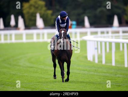 Alhambra Palace fuhr von Jockey David Probert, nachdem er während des QIPCO King George Wochenendes auf der Rennbahn Ascot, Berkshire, das Slingsby Gin Handicap gewann. Bilddatum: Freitag, 28. Juli 2023. Stockfoto