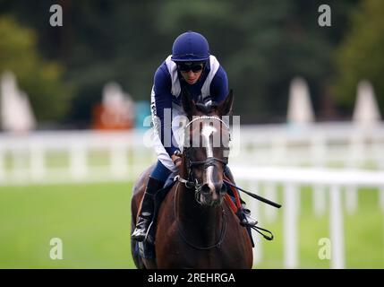 Alhambra Palace fuhr von Jockey David Probert, nachdem er während des QIPCO King George Wochenendes auf der Rennbahn Ascot, Berkshire, das Slingsby Gin Handicap gewann. Bilddatum: Freitag, 28. Juli 2023. Stockfoto