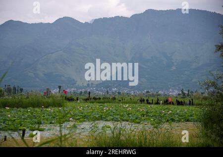 Srinagar, Indien. 28. Juli 2023. Schiitische Moslems nehmen an einer Ashura-Prozession auf Booten Teil. Muharram ist der erste Monat des Islam. Es ist einer der heiligsten Monate im islamischen Kalender. Schiitische Moslems gedenken Muharram als einen Monat der Trauer zum Gedenken an den Enkel des Märtyrers Islamischer Prophet Muhammad, Imam Hussain, der auf Ashura (10. Tag Muharram) in der Schlacht von Karbala im Jahr 680 n. Chr. martyriert wurde Kredit: SOPA Images Limited/Alamy Live News Stockfoto