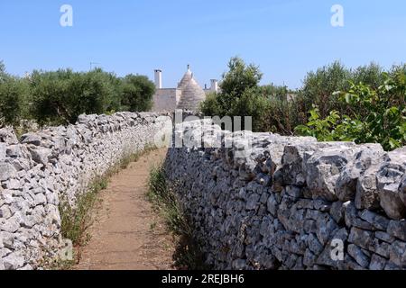 Locorotondo, Italien. 10. Juli 2023. Ein Bild von Valle d'Itria in der Nähe von Locorotondo, Apulien, Italien, am 10 2023. Juli. Laut einem kürzlich erschienenen Artikel des Guardian ist das Valle d'Itria, ein breites landwirtschaftliches Tal in der Nähe von Bari voller Weinberge und Olivenbäume, eines der besten geheimen Orte in Italien. (Foto: Elisa Gestri/Sipa USA) Kredit: SIPA USA/Alamy Live News Stockfoto