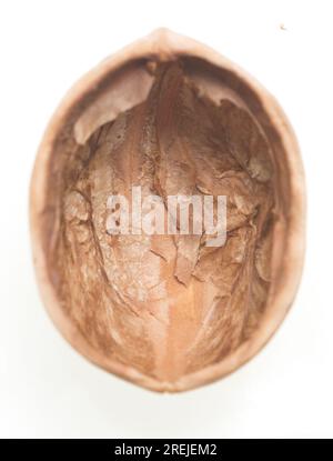Walnuss-Schale isoliert auf weißem Hintergrund Stockfoto