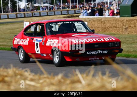 Mike Whitaker, Ford Capri III 3 Liter S, Goodwood 75, Return to Racing, eine kleine, aber indikative Auswahl einiger der besten Rennwagen und Rennwagen Stockfoto