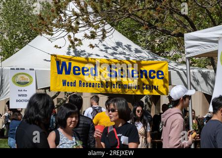 Davis, Kalifornien - 15 2023. April. Picknick-Tag an der University of California in Davis mit Weed Science Stockfoto