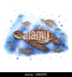 Aquarell-Illustration mit süßen Meeresschildkröten, die unter Wasser unter Fischen schwimmen. Farbenfrohe Zeichnung isoliert auf wässrigem Hintergrund. Stockfoto