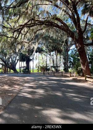 Der Weg zum See im Trimble Park in Mount Dora, Florida an einem sonnigen Tag. Stockfoto