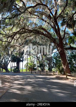 Der Weg zum See im Trimble Park in Mount Dora, Florida an einem sonnigen Tag. Stockfoto