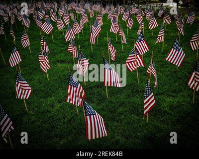 Patriotische Flaggen der Vereinigten Staaten von Amerika, die einen der wichtigsten Tage in der amerikanischen Geschichte feiern. Viele Flaggen auf dem Rasen im Freien Stockfoto