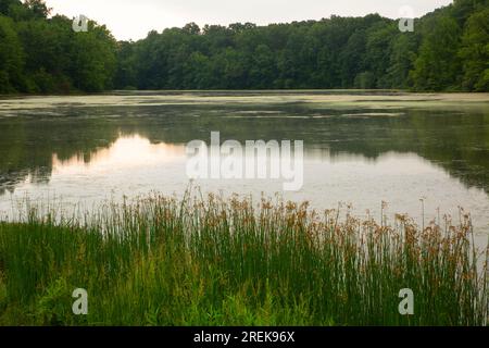 Lower Pond, AW Stanley Park, New Britain, Connecticut Stockfoto