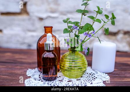 Glechoma hederacea, Erdefeu, Kiemen-über-den-Boden, schleichender charlie, Tunhoof, Katzenfuß. Ätherisches Ol und Tinktur aus einer Heilpflanze. Stockfoto