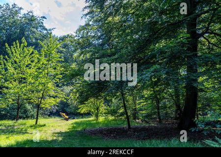 Der Stadtwald von Duisburg, eine Waldfläche von ca. 600 ha im Südosten von Duisburg, Holzliegen auf der Meditationswiese, NRW, Deutschland, Stockfoto