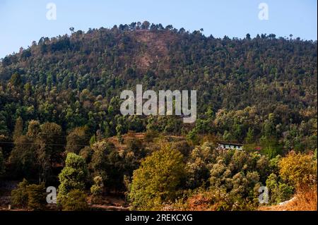 Haus in der Nähe des Waldes im Kala Agar Village in Kumaon Hills, wo Jim Corbett nach dem Chowgarh Maneater, Uttarakhand, Indien, kommt Stockfoto