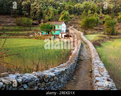 Haus in der Nähe des Waldes im Kala Agar Village in Kumaon Hills, wo Jim Corbett nach dem Chowgarh Maneater, Uttarakhand, Indien, kommt Stockfoto