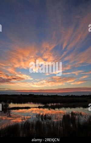 Merrit Island National Refuge Landschaften mit Sonnenaufgang Florida USA Stockfoto