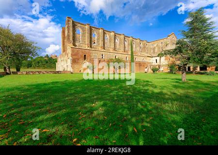 Kirchenruinen der Zisterzienserabtei San Galgano, Abbazia San Galgano, Gotik, im hinteren Teil des Oratorio di San Galgano sul Montesiepi, Chiusdino Stockfoto