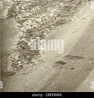 "Ökologische Untersuchungen des Tundrabioms in der Region Prudhoe Bay, Alaska" (1975) Stockfoto