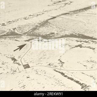 "Ökologische Untersuchungen des Tundrabioms in der Region Prudhoe Bay, Alaska" (1975) Stockfoto