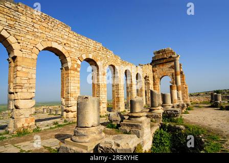 Ruinen der Basilika, Volubilis, antike römische Stadt, Marokko Stockfoto