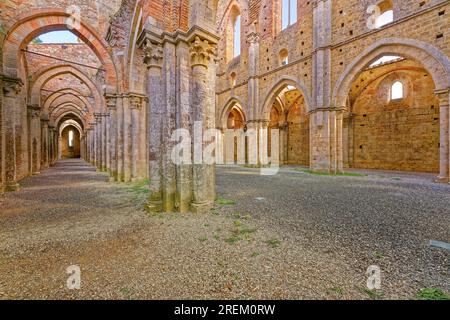 Schiff mit Seitengängen, Kirchenruinen der Zisterzienserabtei von San Galgano, Abbazia San Galgano, Gotik, Oratorio di San Galgano sul Montesiepi AT Stockfoto