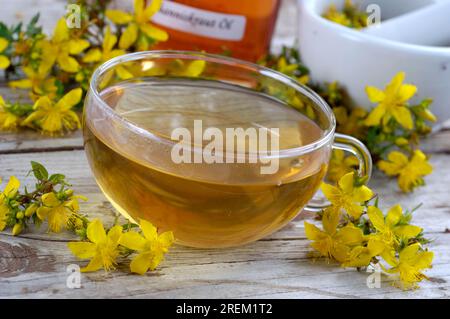 Becher mit gewöhnlichem Johanniskraut Tee, fleckiges gewöhnliches Johanniskraut, echtes Johanniskraut (Hypericum perforatum) Stockfoto