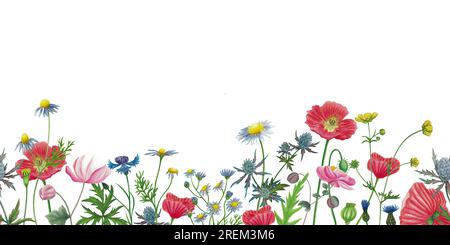 Wildblumen nahtlos umrandet, Einladung, Grußkarte mit rotem Mohn, Kamille, Maisblüten, Anemone, Ranunculus, eryngium-Blume, von Hand gezogen, isoliert Stockfoto