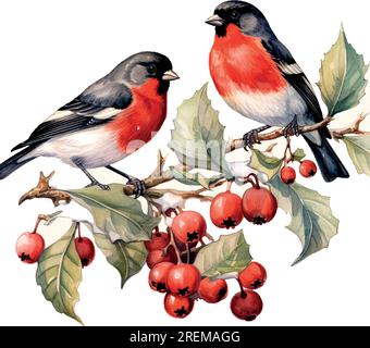 Christmas Bullfinches Aquarell im handgezeichneten Stil. Entwurfselement der Vektordarstellung. Stock Vektor