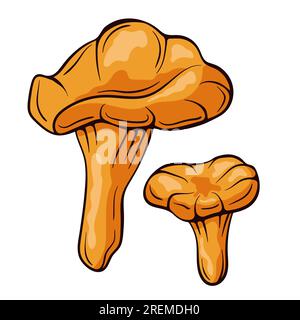 Pfifferling-Pilze farbenfroh im Cartoon-Stil. Essenszeichnung handgezeichnet. Vektordarstellung isoliert auf weißem Hintergrund. Stock Vektor