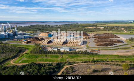 Zellstoffwerk in Südamerika, Uruguay. Luftaufnahme von Eukalyptusholz und Sägemehl-Lagerbereich. Fabrik stellt gebleichten Hartholz-Eukalyptuszellstoff her. Stockfoto