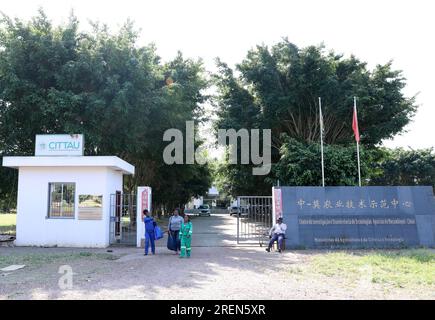 China. 29. Juli 2023. Boane. 28. Juli 2023. Dieses Foto wurde am 28. Juli 2023 aufgenommen und zeigt das China-Mosambik Agricultural Technology Demonstration Center in Boane, Provinz Maputo, Mosambik. Das 2010 erbaute Demonstrationszentrum ist ein wichtiges Kooperationsprojekt zwischen der chinesischen und der mosambikanischen Regierung. Neben landwirtschaftlichen Experimenten ist das Zentrum auch an der Ausbildung von Bauern vor Ort beteiligt. Kredit: Dong Jianghui/Xinhua/Alamy Live News Kredit: Xinhua/Alamy Live News Stockfoto