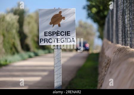 Warnung zum Schutz der Spornschildkröte, Llucmajor, Mallorca, Balearen, Spanien Stockfoto