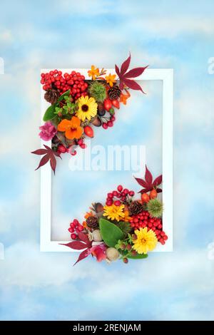 Farbenfrohes HerbstThanksgiving im Hintergrund mit Blättern, Blumen, Beerenobst, Nüssen, weißem Rahmen am blauen Himmel. Festliches Blumendesign in der Natur. Stockfoto