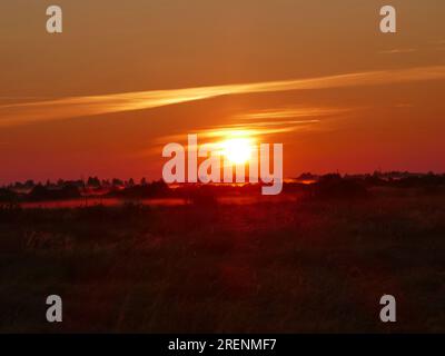 Roher nebiger Morgen. Sommersonnenaufgang über Wiesen (feuchte oder nasse Wiesen) und Tieflandmoor mit schattigem Weidenbusch. Die Sonne scheint durch streifenartige Wolken. Stockfoto