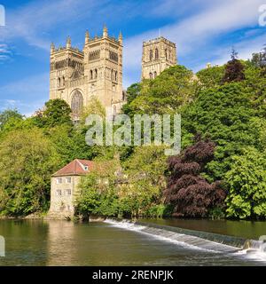 Der Blick über den Fluss trägt die Durham Cathedral und die Old Fulling Mill, die beide im Sommersonnenschein glänzen. Stockfoto