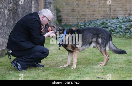 Aktenfoto vom 14. Oktober 03/18 des Polizeihundes Finn, der die PDSA Gold Medal erhielt, nachdem er in Ausübung seines Dienstes brutal niedergestochen wurde, mit seinem Betreuer Dave Wardell, am Old Palace Yard, Westminster, London. Der pensionierte Polizeihund Finn, ein deutscher Hirte, starb im Alter von 14 Jahren. Der Hund, Fabulous Finn genannt, gewann als Briten-Got-Talent-Finalist die Herzen der Nation. Finn ließ sich bei einer Verfolgungsjagd am 5 2016. Oktober in Stevenage, Hertfordshire, notoperieren, während er seinen Betreuer, PC Dave Wardell, schützte. Ausgabedatum: Samstag, 29. Juli 2023. Stockfoto