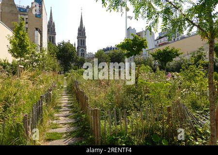 Paris, Parc Saint-Ambroise, Jardin Truillot // Paris, Parc Saint-Ambroise, Jardin Truillot Stockfoto