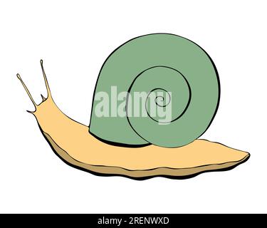 Von Schnecke gezeichneter Umriss mit grüner Schale und gelbem Körper, isoliert, weißer Hintergrund. Vektordarstellung Stock Vektor