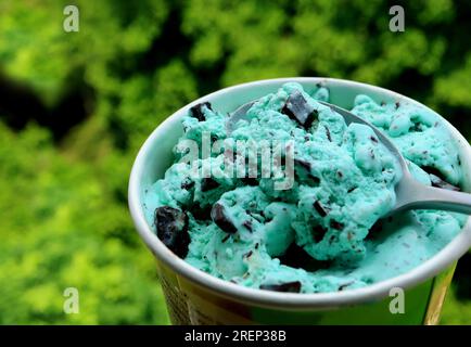 Löffel Mint Chocolate Chip Ice Cream mit verschwommenem Grün im Hintergrund Stockfoto