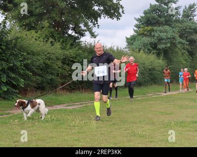 Kesgrave, Suffolk - 29. Juli 2023 : warmer Sommer am Samstagmorgen Parkrun im Millennium Field. Lächelnder Läufer mit seinem Hund. Stockfoto