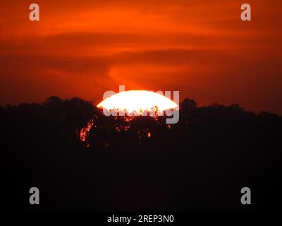 Spektakuläre Sonnenuntergänge mit Berg- und Waldsilhouetten in der Dämmerung in Uttarakhand, Indien. Atemberaubende Naturszene. Stockfoto