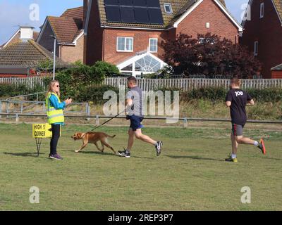 Kesgrave, Suffolk - 29. Juli 2023 : warmer Sommer am Samstagmorgen Parkrun im Millennium Field. Läufer mit Hund an der High 5 Ecke. Stockfoto